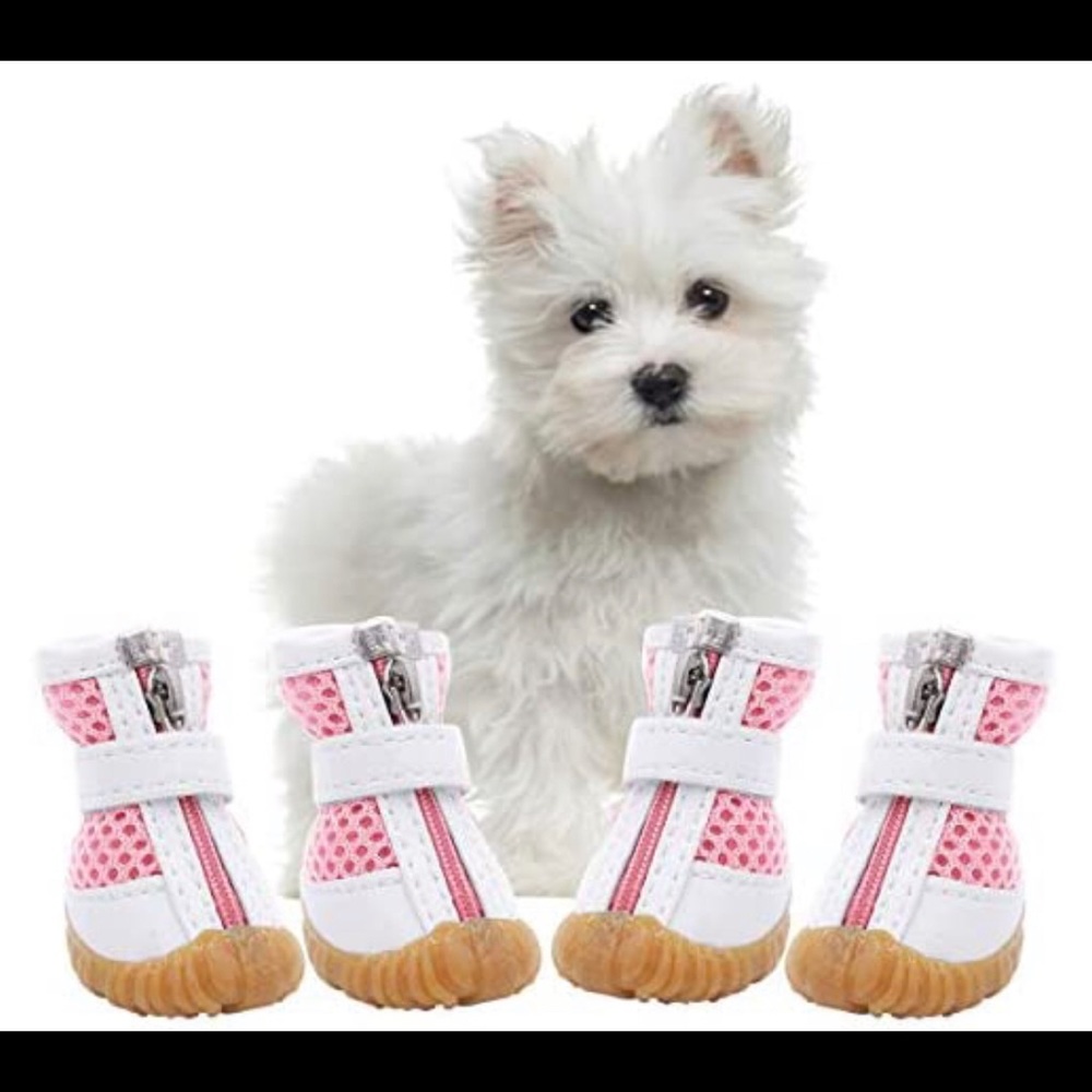 Small dog protective booties